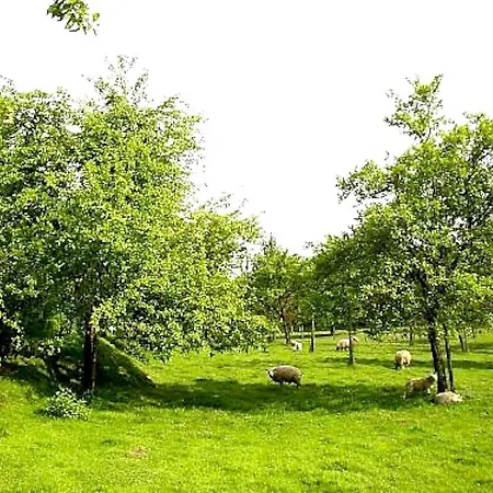 Nieuwhuis Holiday home *