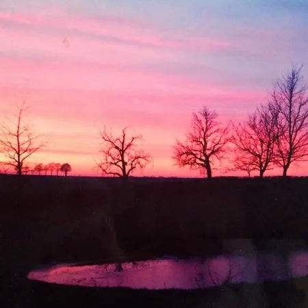 Nieuwhuis Holiday home Nuth