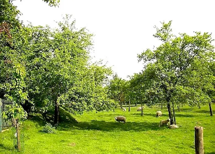 Nieuwhuis بيت للعطل *