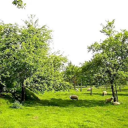 Nieuwhuis Дом отдыха *