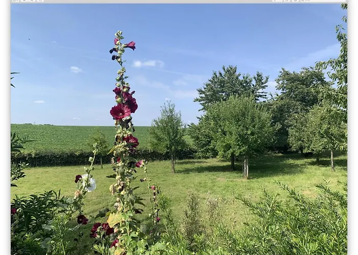 新居纳斯度假屋 *