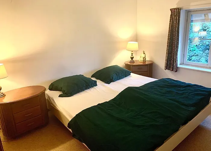 新居纳斯度假屋